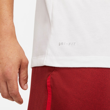 Camiseta Manga Corta de training Nike Dri-Fit "Hwpo" Men'S Trai