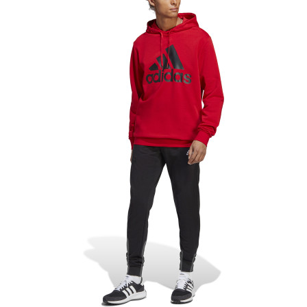Chándal Big Logo Terry