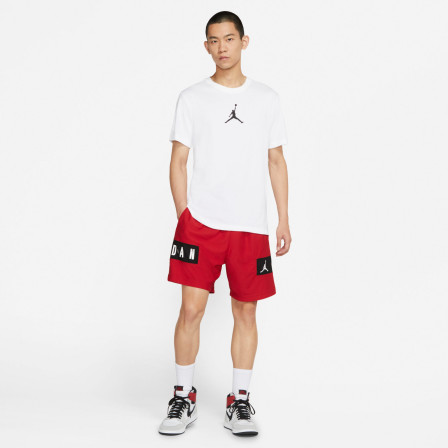 Camiseta Manga Corta de baloncesto Jordan Jumpman Dri-Fit Men'S S