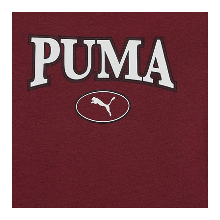 Camiseta Manga Corta de sportwear Puma Squad Graphic Tee G