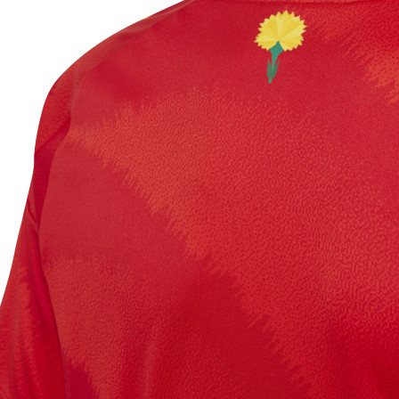Set de futbol - camiseta primera equipación España y pantalón Eurocopa 2024 niños