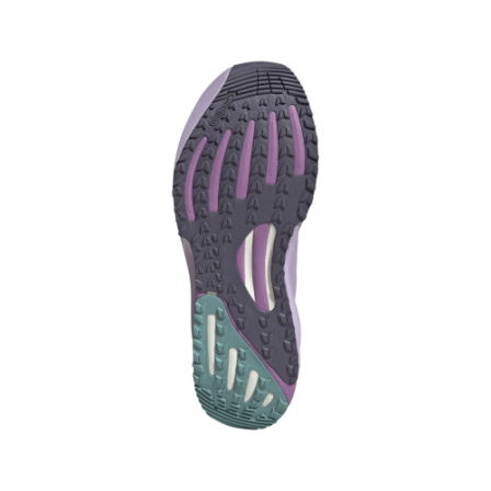 Zapatillas de running Supernova Rise GTX Running Shoes