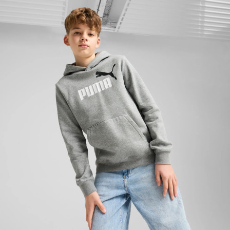 Sudadera de sportswear ESS 2 COLOR No. 1 Logo Hoodie
