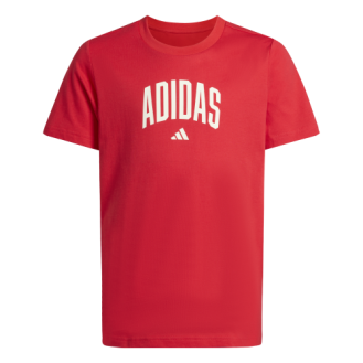 Camiseta de Sportswear J...