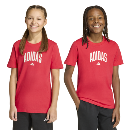 Camiseta de Sportswear J COLLEG T