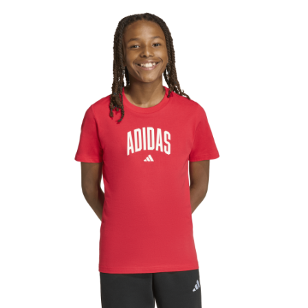 Camiseta de Sportswear J COLLEG T