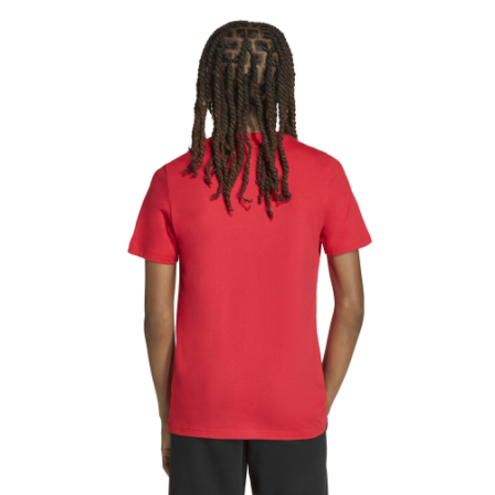 Camiseta de Sportswear J COLLEG T