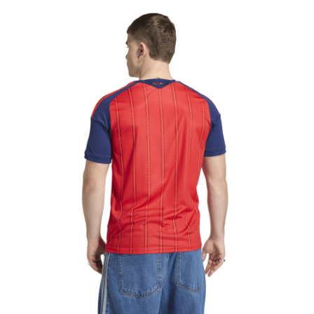 Camiseta de Futbol primera equipación España 26 H
