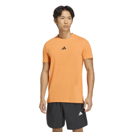 Camiseta de Training D4T TEE