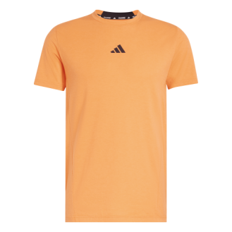 Camiseta de Training D4T TEE