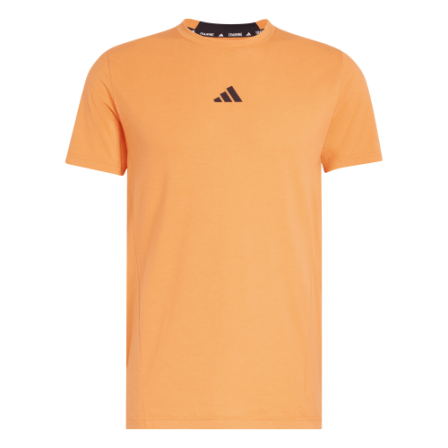 Camiseta de Training D4T TEE