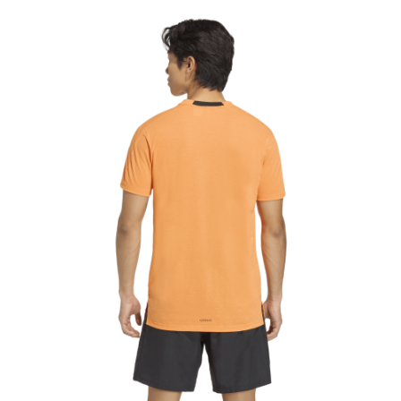 Camiseta de Training D4T TEE