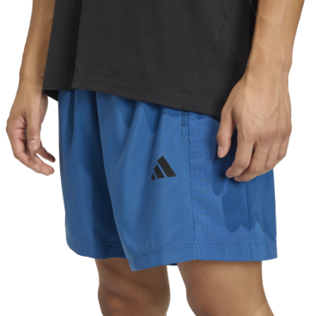 Short de Training WE BAS WV SHO