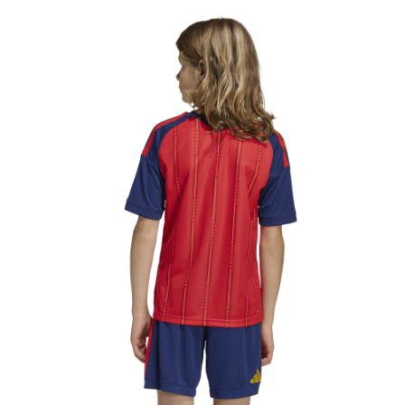 Conjunto de fútbol primera equipación España 26