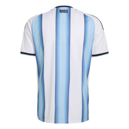 Camiseta de Futbol AFA H JSY D
