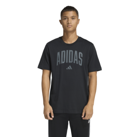 Camiseta de Sportswear M COLLEGIATE T