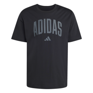Camiseta de Sportswear M...