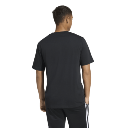 Camiseta de Sportswear M COLLEGIATE T