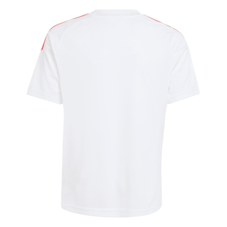 Camiseta de Futbol TIRO26L JSY Y