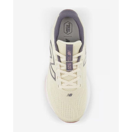 Zapatillas de Running FreshFoam 520 v9