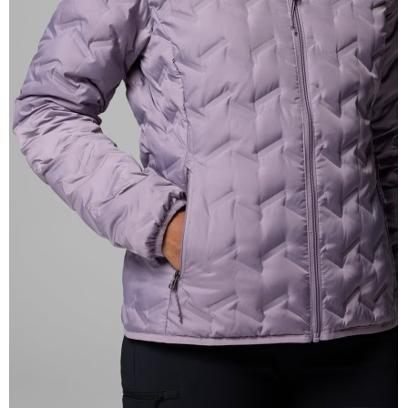 Chaqueta de outdoor Delta Ridge II Down Hooded Ja