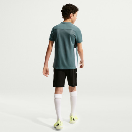 Camiseta de Futbol Nike Academy Dri-Fit