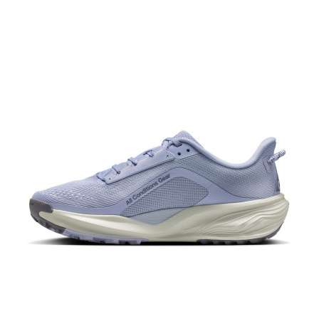 Zapatillas de Trail Running Nike Acg Pegasus WomenS Road