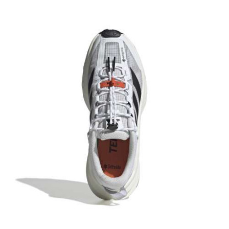 Zapatillas de outdoor Terrex Freehiker Sl Gtx