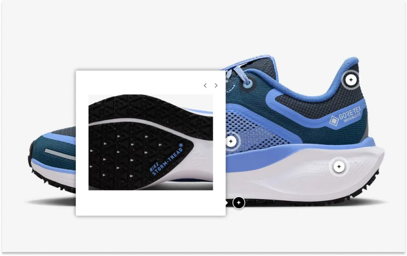Nike Pegasus 41 GTX