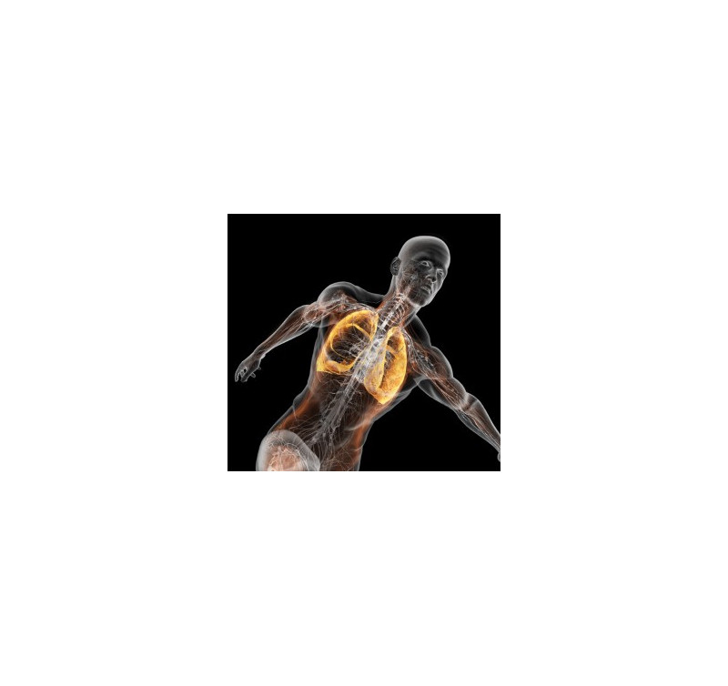 Entrenamiento del sistema respiratorio. Trabajo respiratorio, mejora de rendimiento I