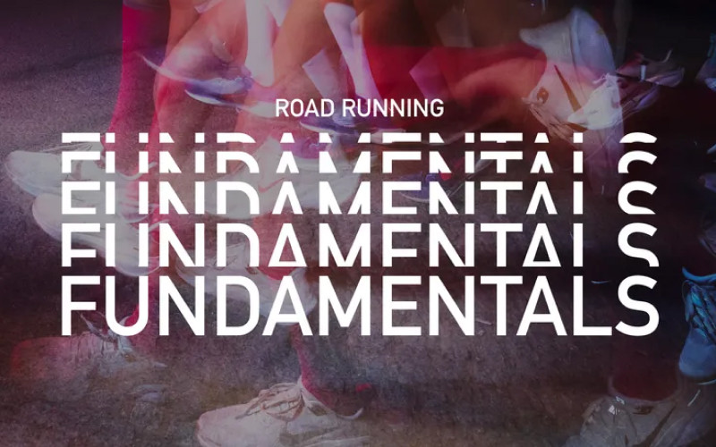 Road Running de Nike ¿Qué zapatillas elegir?